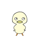 Hey！ Duck！（個別スタンプ：37）