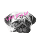 My Pug（個別スタンプ：7）