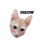 Mimi's  Life（個別スタンプ：4）