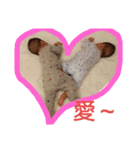 jea（個別スタンプ：4）