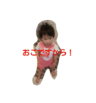 うたのん（個別スタンプ：5）