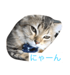 葵と有希（個別スタンプ：2）