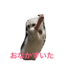 葵と有希（個別スタンプ：6）