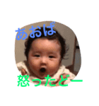 3我が家の蒼葉くん。（個別スタンプ：2）