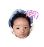 3我が家の蒼葉くん。（個別スタンプ：3）