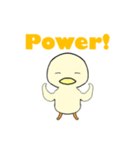 A Cute Duck！ Everyday！（個別スタンプ：1）