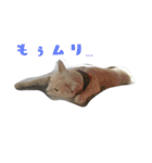 マロンとフゥ 1（個別スタンプ：8）