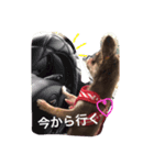 関西のアイドル シェルさん（個別スタンプ：3）