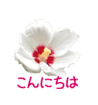 kikimama Flower Sticker（個別スタンプ：2）