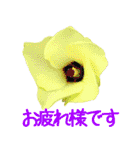 kikimama Flower Sticker（個別スタンプ：4）