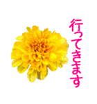 kikimama Flower Sticker（個別スタンプ：11）