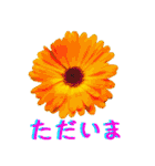 kikimama Flower Sticker（個別スタンプ：13）