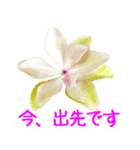 kikimama Flower Sticker（個別スタンプ：17）