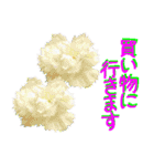 kikimama Flower Sticker（個別スタンプ：18）