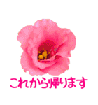 kikimama Flower Sticker（個別スタンプ：21）