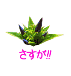 kikimama Flower Sticker（個別スタンプ：22）