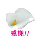 kikimama Flower Sticker（個別スタンプ：23）