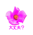 kikimama Flower Sticker（個別スタンプ：27）