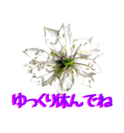 kikimama Flower Sticker（個別スタンプ：29）