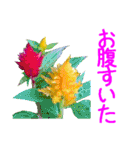 kikimama Flower Sticker（個別スタンプ：30）