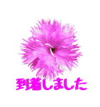 kikimama Flower Sticker（個別スタンプ：35）