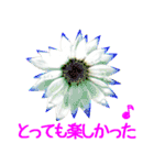 kikimama Flower Sticker（個別スタンプ：36）