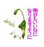 kikimama Flower Sticker（個別スタンプ：37）