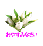 kikimama Flower Sticker（個別スタンプ：39）