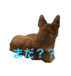ぐぅさんスタンプ（個別スタンプ：1）