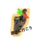 taichannanoda（個別スタンプ：28）