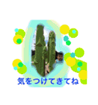 taichannanoda（個別スタンプ：30）