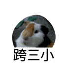 BaBu so cute.（個別スタンプ：2）