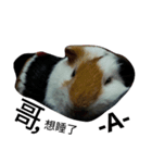 BaBu so cute.（個別スタンプ：5）