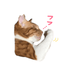 花菜（はな）と夢（ゆめ）（個別スタンプ：10）