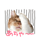 花菜（はな）と夢（ゆめ）（個別スタンプ：14）