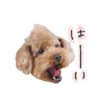 ToyPoodle MUGI 2（個別スタンプ：9）