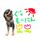 pepo＆rock＆cat（個別スタンプ：5）