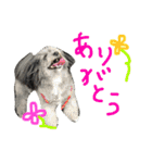 pepo＆rock＆cat（個別スタンプ：6）