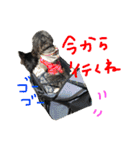 pepo＆rock＆cat（個別スタンプ：9）