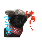 pepo＆rock＆cat（個別スタンプ：11）