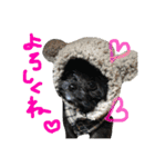pepo＆rock＆cat（個別スタンプ：12）