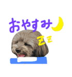 pepo＆rock＆cat（個別スタンプ：18）