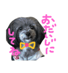 pepo＆rock＆cat（個別スタンプ：20）