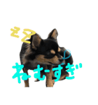pepo＆rock＆cat（個別スタンプ：22）