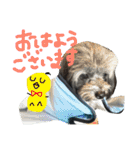 pepo＆rock＆cat（個別スタンプ：23）