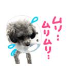 pepo＆rock＆cat（個別スタンプ：31）