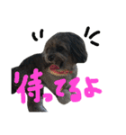 pepo＆rock＆cat（個別スタンプ：40）