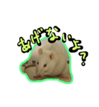 げっ歯類もりもりスタンプ（個別スタンプ：12）