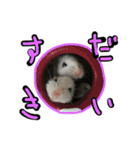 げっ歯類もりもりスタンプ（個別スタンプ：32）