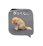 にゃんこ*にゃんこ（個別スタンプ：3）
